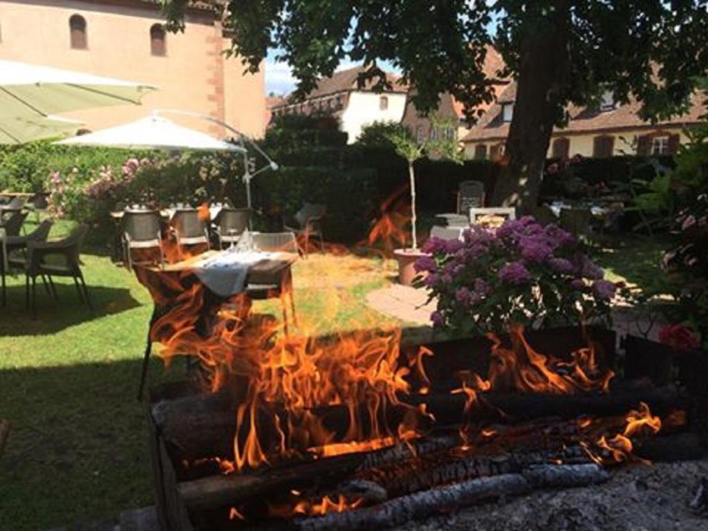 Neuwiller-lès-Saverne Hotel Du Herrenstein מראה חיצוני תמונה